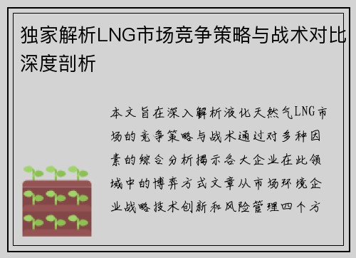 独家解析LNG市场竞争策略与战术对比深度剖析