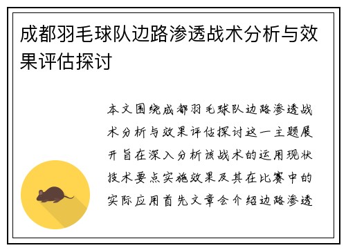 成都羽毛球队边路渗透战术分析与效果评估探讨